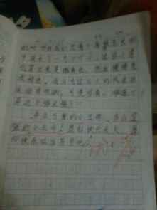 作文,说明文,字左右,校园