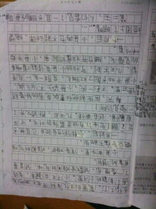 平安,作文,字左右,校园