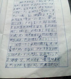 校园大篮球的作文350字