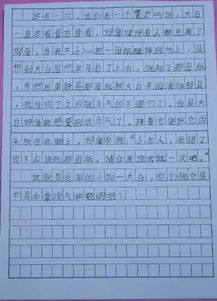 书香大学校园作文