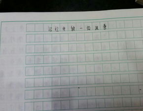 作文校园风光一千字600字