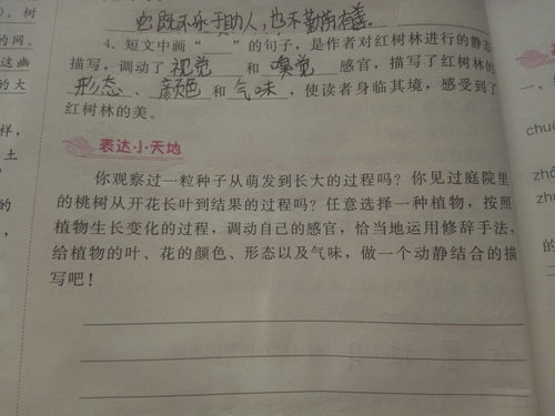 校园的动静结合作文100字