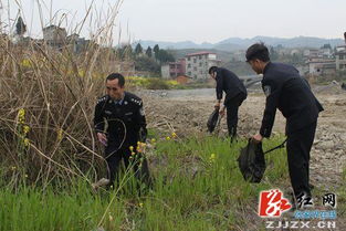 清理校园白色垃圾作文