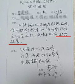 我给校园留下的作文素材