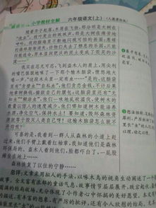 情景交融,作文,校园