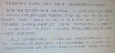 趣味冰雪快乐校园作文300字