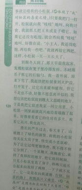 半命题作文一道校园的风景