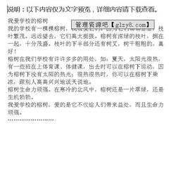 作文,榕树,校园