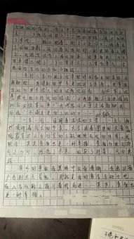 校园牵动我的情思作文600字作文开头