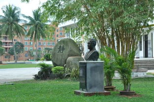 《校园一角》400字作文写操场