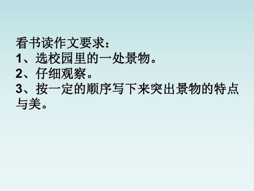 作文,四级,校园,百字