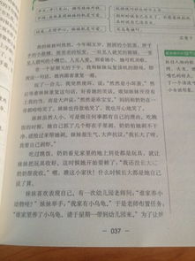 作文,校园里,感动