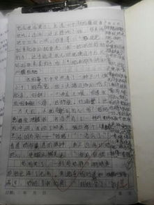 作文,充满,校园