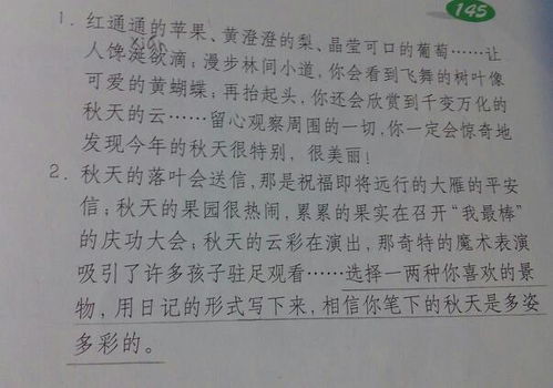 我心中的平安校园作文500字,我心中的文明校园作文800字,我心中的平安校园作文