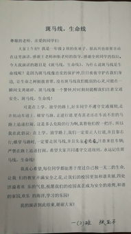 网络安全进校园作文400字,网络安全进校园作文300字,网络安全作文300字