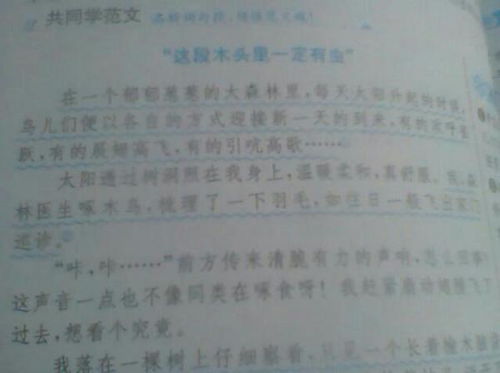 这儿真美写校园作文400字