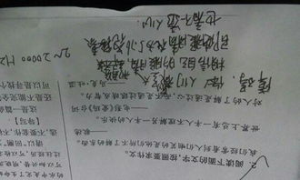 校园里假山作文600字左右