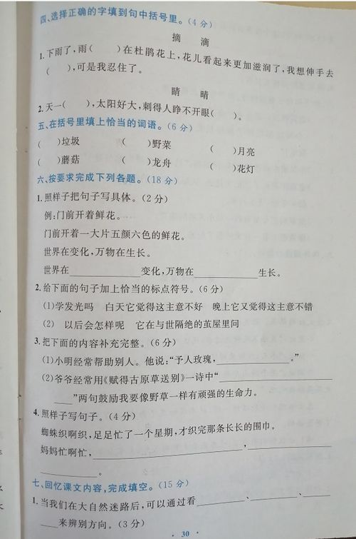 二级下册作文校园