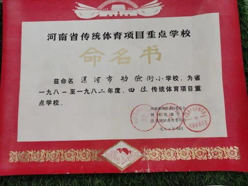 安康,作文,校园文化,学院