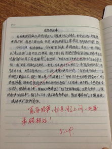 美丽的校园作文650字初一,三年级美丽的校园作文650字,美丽的校园作文10个字