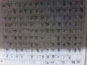 校园类叙事作文初三600字作文