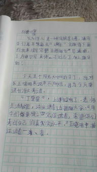 校园诚信作文600字