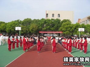 小学校园运动会作文600字,校园运动会作文300字三年级,校园运动会作文300字左右