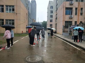 清扫大学校园作文