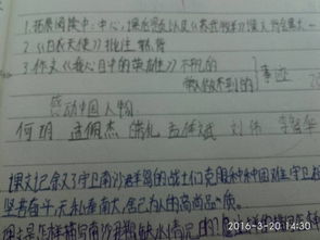 校园的新变化作文900字