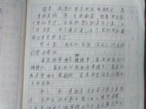 作文七级初进校园600
