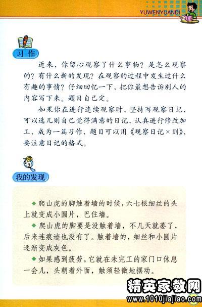 校园观察日记300字四级作文