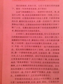 作文,重返,美丽,校园