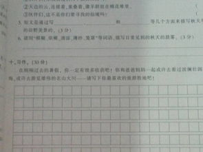 6级作文校园里的甜