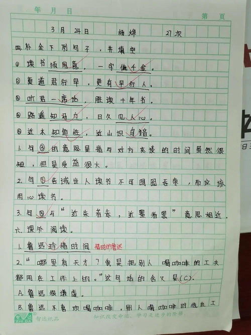 作文,城北,科教,小学