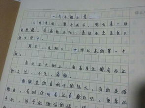 情景交融,作文,秋色,校园