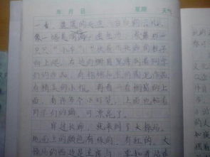 美丽的校园移步换景作文400字