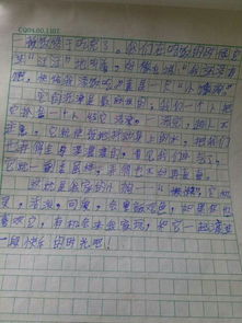 校园之美作文300个字