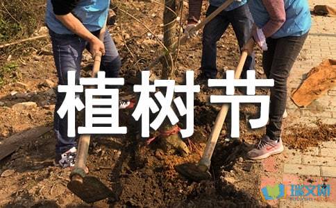 校园植树节作文400字,校园植树节作文500字六年级,校园植树节作文350