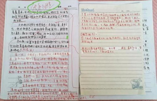 放学后的校园作文动静结合450字