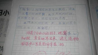 作文,校园里,感恩,老师