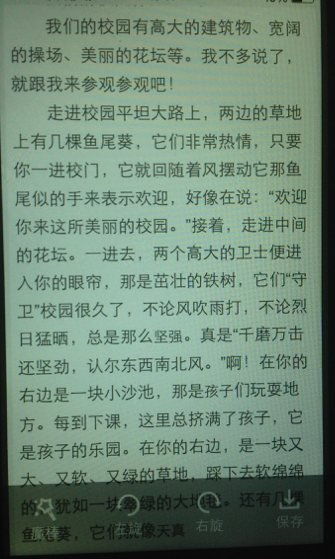 作文说明文我的校园二百字