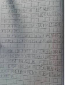 校园小事的作文