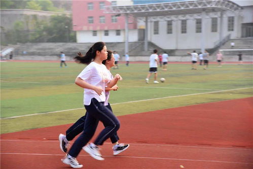 校园的夕阳西下写一篇作文