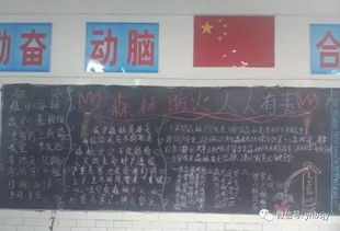 作文,防火,森林防火,校园