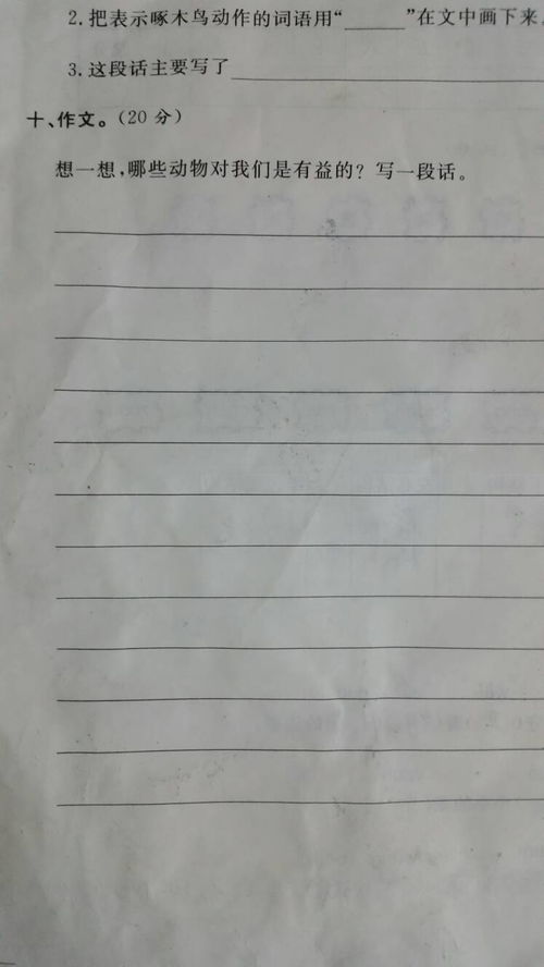 回忆校园作文第一段怎么写