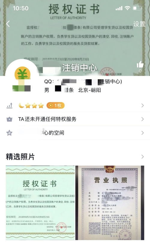 作文,金融,校园