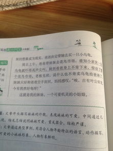 关于校园里的事作文300字三级