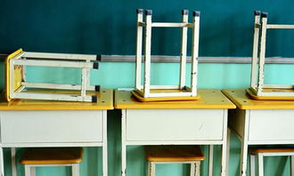 作文,二三,校园