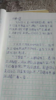 诚信教育进校园作文1000字