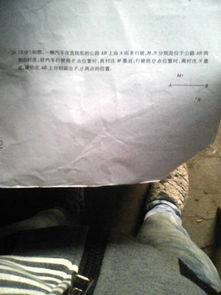 作文,篮球比赛,校园